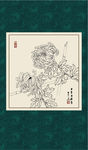 白描菊花