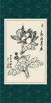 若莲