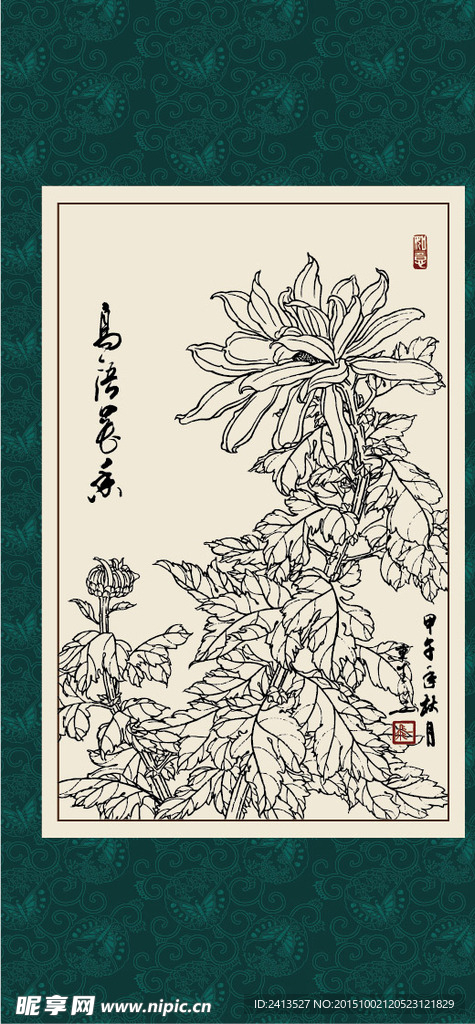 白描菊花