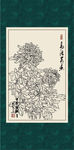 白描菊花