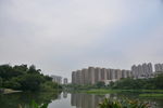 湿地公园高楼倒影