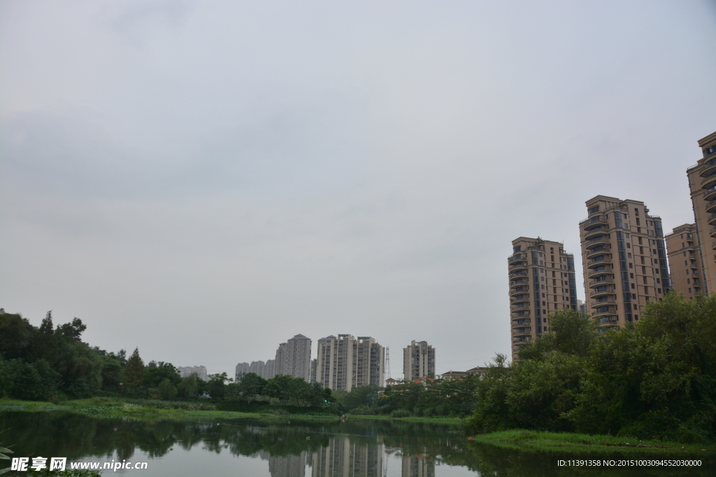 湿地公园边的高楼群