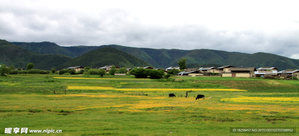 香格里拉
