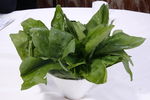 鲜菠菜