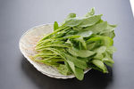 鲜菠菜