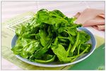 鲜菠菜