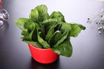 鲜菠菜