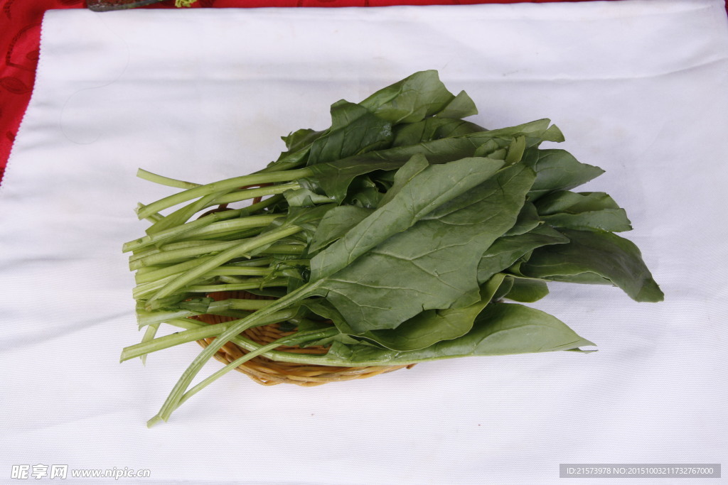 鲜菠菜