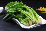 鲜菠菜
