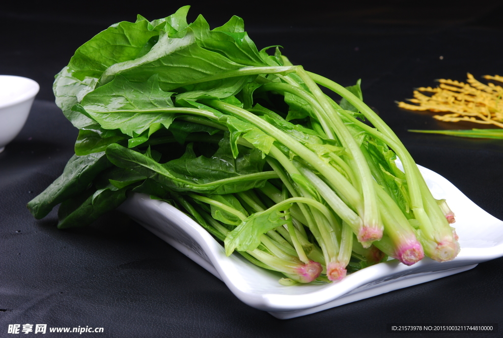 鲜菠菜