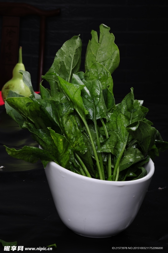 鲜菠菜
