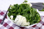 鲜菠菜
