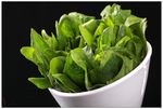 鲜菠菜