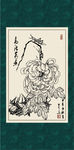 白描菊花
