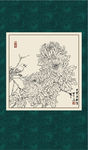 白描菊花