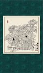 白描菊花