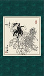 白描菊花
