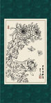 白描菊花