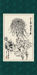 白描菊花