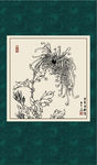 白描菊花