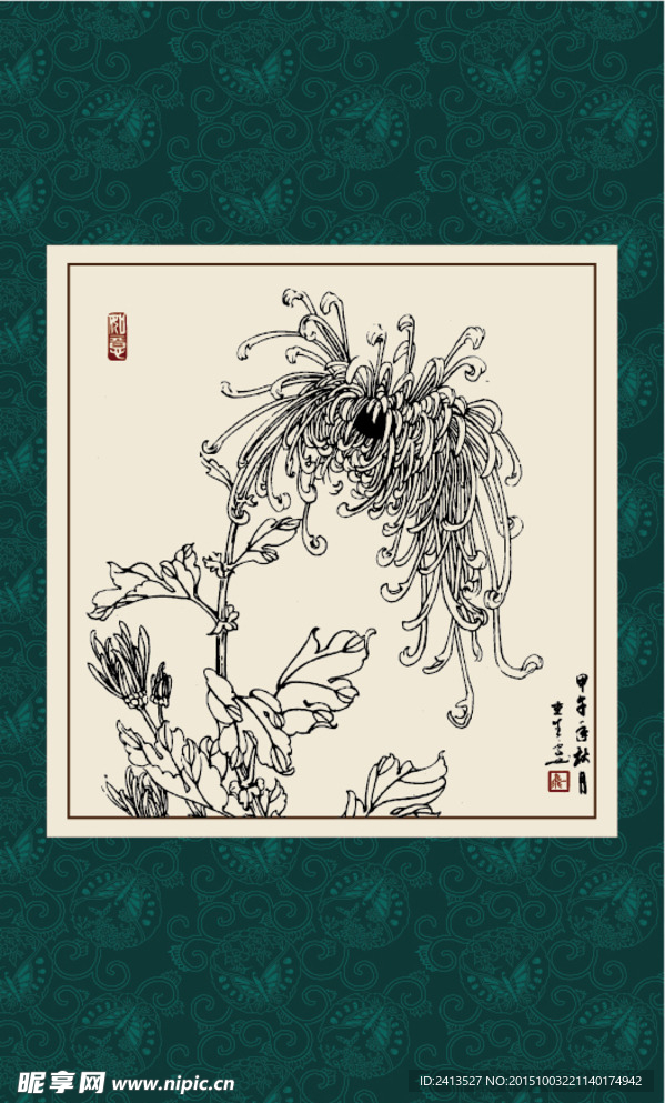 白描菊花