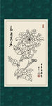 白描菊花