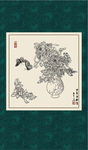 白描菊花