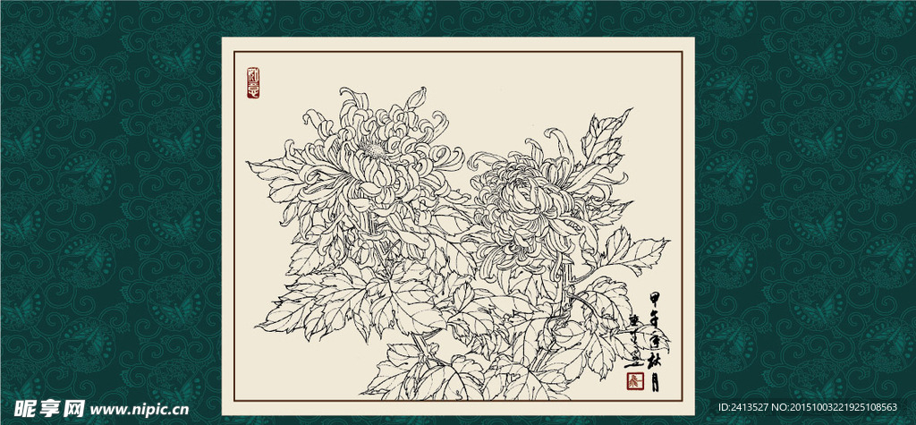 白描菊花