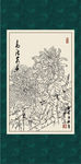 白描菊花