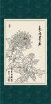 白描菊花