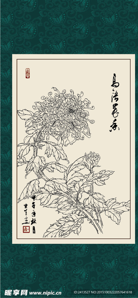 白描菊花