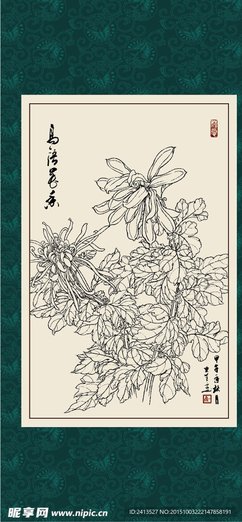 白描菊花
