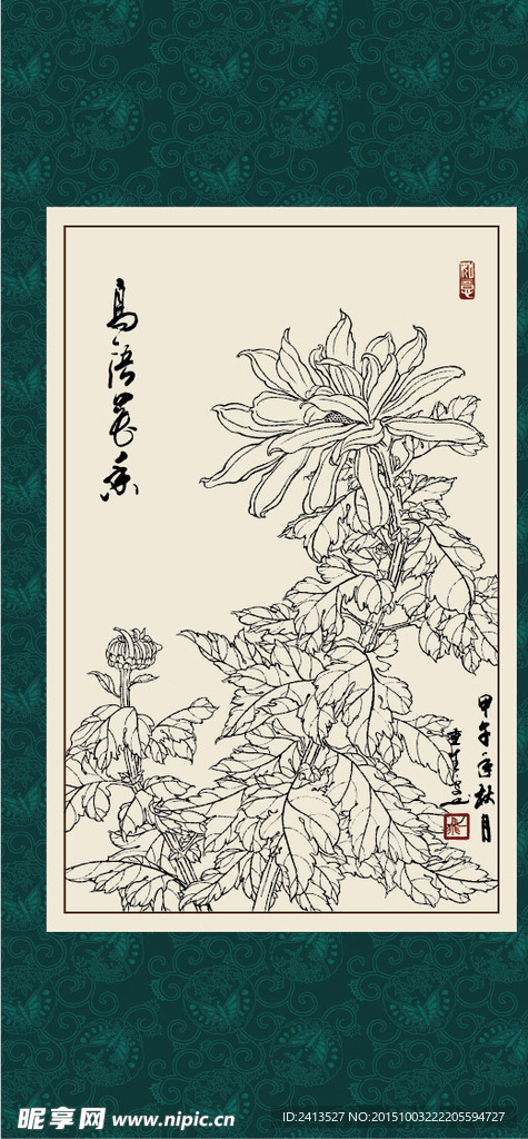 白描菊花