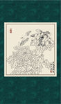 白描菊花