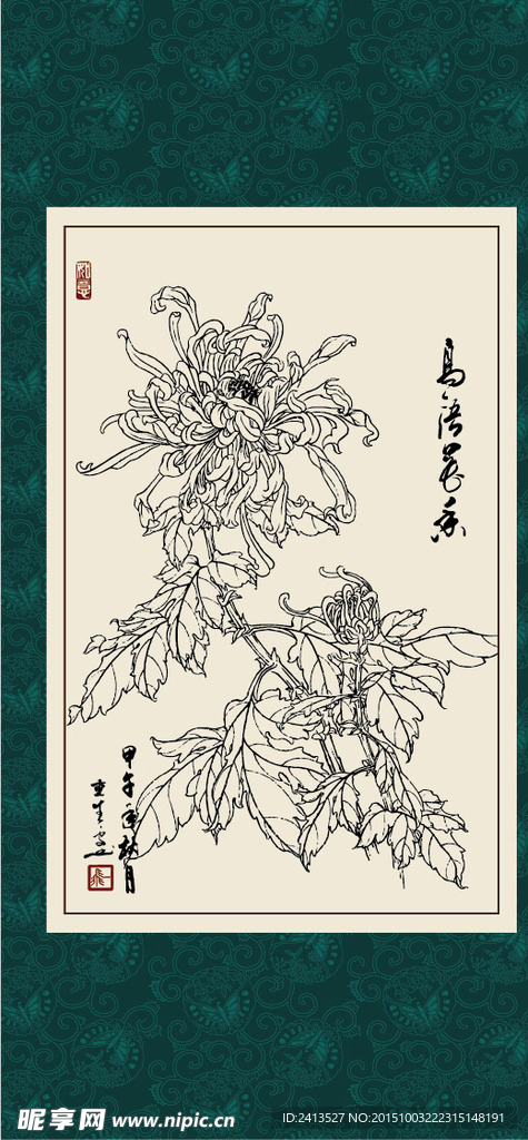 白描菊花