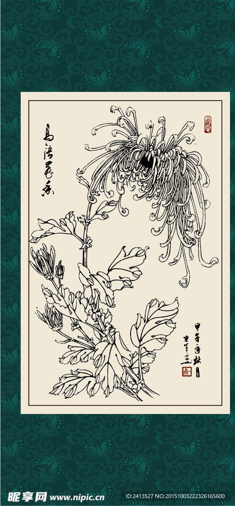 白描菊花