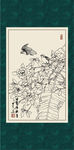 白描茶花