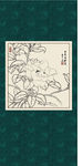 白描茶花