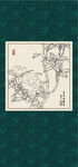 白描茶花