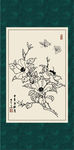 白描茶花