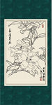 白描茶花