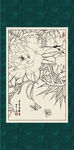 白描茶花