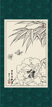 白描茶花