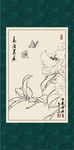 白描茶花