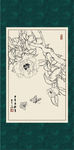 白描茶花