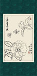 白描茶花