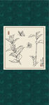 白描茶花