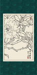 白描茶花