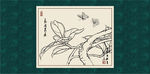 白描茶花