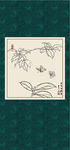 白描茶花
